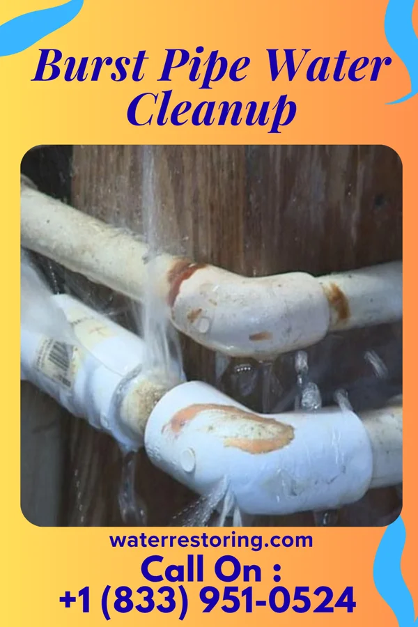 Burst Pipe Water Cleanup in Lake Chaffee, CT
